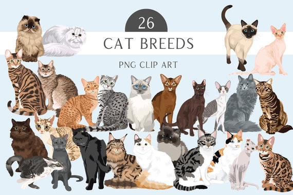 Cats PNG Bundle - Cat Breed Clip Art Bundle with 26 Detailed Cat Illustrations - Cat PNG - Cat Artwork