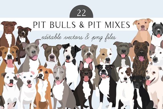 Pit bull Clip Art - Dog Breed Editable Vector Pack - Pit Bull Dog Vector Art in EPS and PNG format
