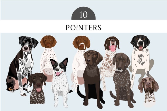 Pointers Clip Art Clip Art - Dog Breed Editable Vector Pack - Pointer Hunting Dog Vector Art Hound Clip art  in EPS PNG SVG