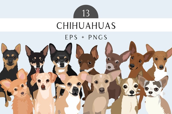 Chihuahua Clip Art - Dog Breed Editable Vector Pack - Chihuahua Illustrations - Chihuahua Vector Art in EPS PNG