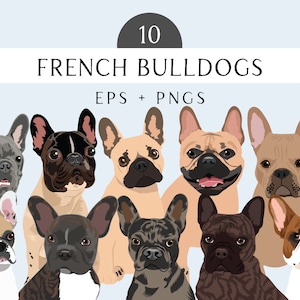 Clipart de buldogue francês - pacote de vetores editáveis de raça de cachorro - arte vetorial de cachorro buldogue francês em EPS PNG