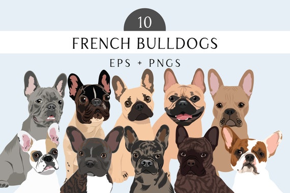 French Bulldog Clip Art - Dog Breed Editable Vector Pack - French Bulldogs Dog Vector Art in EPS PNG