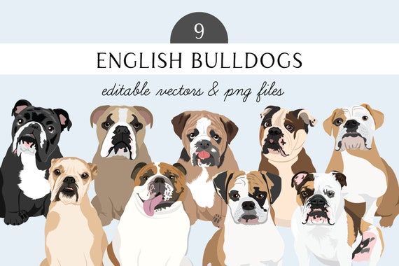 English Bulldog Clip Art - Dog Breed Editable Vector Pack - Bulldog Dog Vector Art in EPS and PNG
