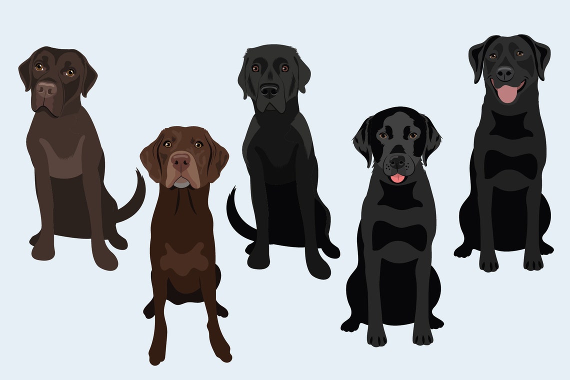 Labrador Retriever Clip Art - Dog Breed Editable Vector Pack - Black ...