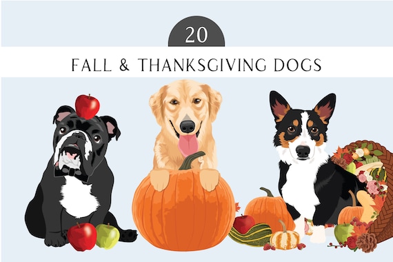 Thanksgiving Clipart Bundle with 20 Dogs  - Fall Dog Clip Art Illustrations - 20 Thanksgiving Dogs with Pumpkins - Dogs with Apples