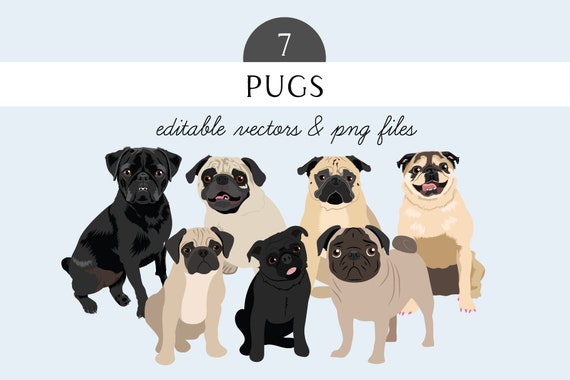 Pug Clip Art - Dog Breed Editable Vector Pack - Pug Vector Art in EPS and PNG - Black Pug - Brown Pug