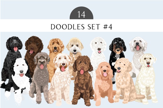 Labradoodle Clip Art Bundle #4- SVG PNG EPS Dog Breed 14 Dogs  Bundle - Goldendoodle Dog Art - Poodle Mix - Lab Mix - Dogs Clip Art