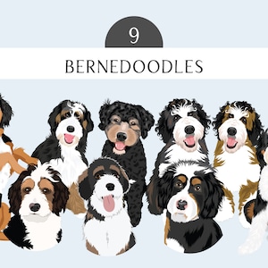 Bernedoodle Clip Art - Hunderasse Editierbares Vektor Pack - Berner Sennenhund Pudel Mix Hund Vektor Art in EPS PNG und JPEG Format