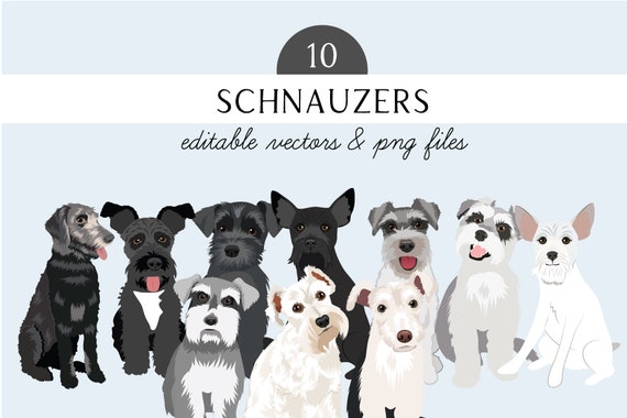 Schnauzer Clip Art - Dog Breed Editable Vector Pack - Schnauzer Dog Vector Art in EPS SVG and PNG format
