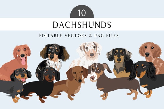 Dachshund Clip Art - Dog Breed Editable Vector Pack - Dachshund Dog Vector Art in EPS and PNG Format - Weiner Dogs