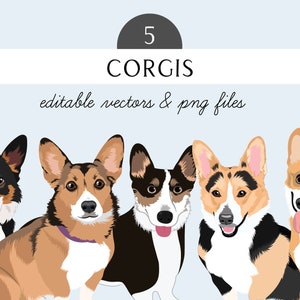 Corgis Clip Art - Hunderasse Bearbeitbares Vektorpaket - Corgis Hund Vektor-Kunst in EPS und PNG