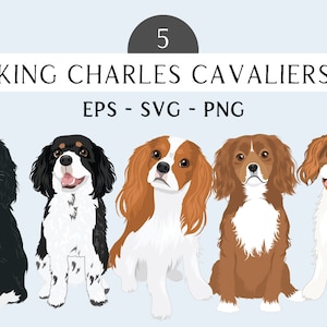 King Charles Cavalier Spaniel Clip Art - Spaniel SVG Dogs - Spaniel PNG Dogs - King Charles Cavalier Art