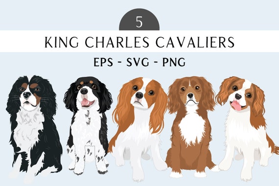 King Charles Cavalier Spaniel Clip Art - Spaniel SVG Dogs - Spaniel PNG Dogs - King Charles Cavalier Art
