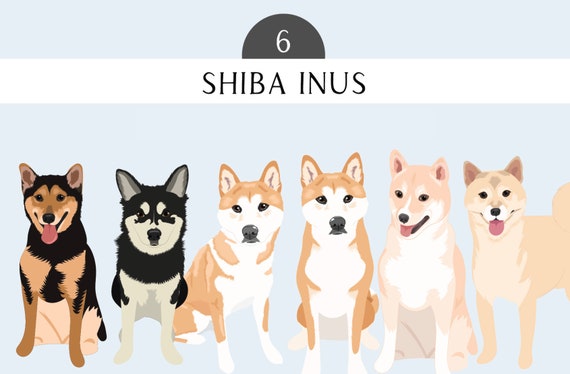 Shiba Inu Clip Art - Dog Breed Illustration Pack - Shiba Inu Dog Clip Art - PNG Dogs - Shiba Inu PNG