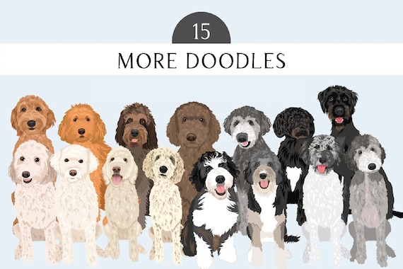 Labradoodle Clip Art - Dog Breed 15 Doodle Illustration Pack - Goldendoodle Dog Vector Art PNGs