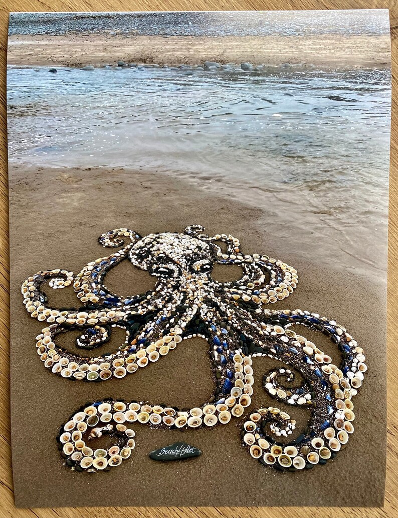 Seashell Octopus Art Print, Devon Beach Pebble Art, Limited Edition - Etsy