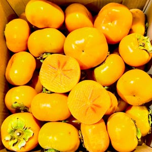 Organically grown Fuyu 3 pounds persimmons Non-astringent