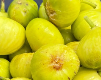 May include: A close-up of a bowl filled with ripe, yellow figs. The figs are arranged in a cluster, showcasing their smooth, slightly textured skin.