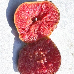 May include: A close-up of two halves of a fig, showcasing the fruit's interior. The top half reveals a vibrant red flesh with small, white seeds, while the bottom half displays a deeper, more maroon hue. The fig is cut open, revealing its texture.