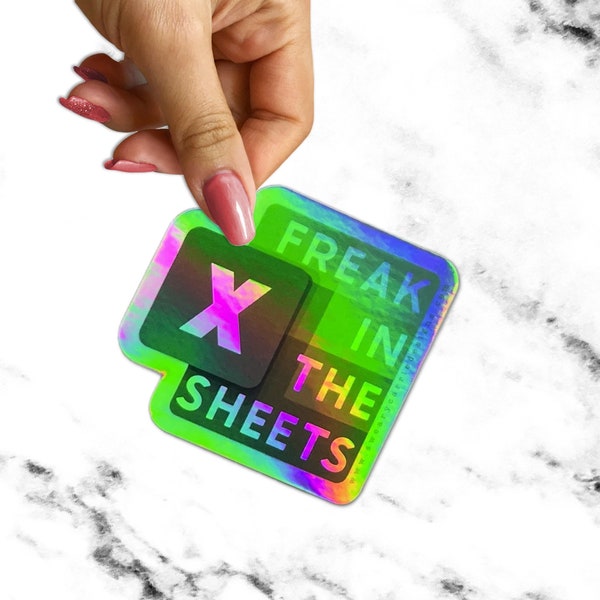 Excel Freak in the Sheets Holo Decal MBA Gift for Her Waterproof Stickers Funny Coworker Gift Accounting Stocking Stuffer for CPA Bulk Gifts