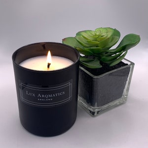 May include: A burning black candle with a white wax interior and a label reading "Lux Aromatics ENGLAND." Next to the candle is a small green succulent in a clear square glass container filled with black pebbles. The candle is in a black glass container.