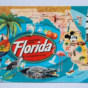 Saluti dalla Florida, la cartolina vintage del Sunshine State vuota
