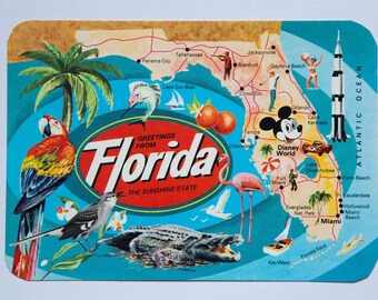 Greetings from Florida the sunshine state vintage postcard blank