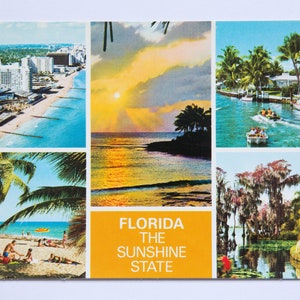 Florida la cartolina d'epoca del Sunshine State vuota