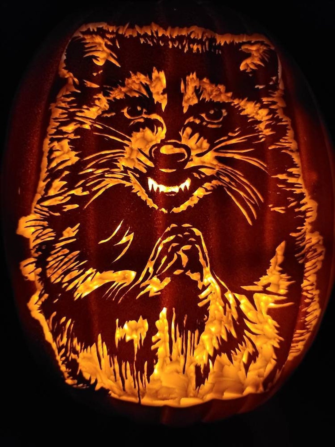 Mischievous Raccoon 13 Carved Foam Pumpkin, Conniving Raccoon, Evil Mischievous Raccoon 13 Carved Foam Pumpkin, Conniving Raccoon, Evil
