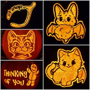May include: Four carved pumpkins with different designs. The first pumpkin has the text "Oh Snap" carved into it. The second pumpkin has a bat with a fluffy body carved into it. The third pumpkin has a cat with a fluffy body carved into it. The fourth pumpkin has the text "Thinking of You" carved into it with a stick figure holding a needle and thread.