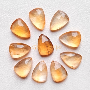 May include: A collection of ten polished, triangular-shaped gemstones. The gems have a warm, amber color with a faceted surface. The text "Gem Expo" is visible on the surface of the gems.
