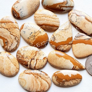 Picture Jasper Cabochon Wholesale Lot By Weight With Different Shapes And Sizes Used For Jewelry Making