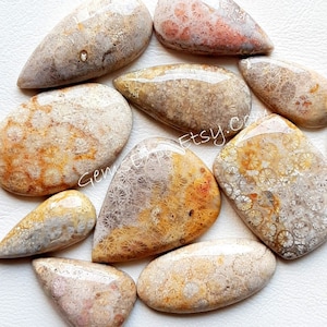 Natural Fossil Coral Cabochon Wholesale Lot By Weight With Different Shapes And Sizes Used For Jewelry Making