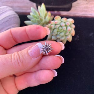Edelweiss Brooch; Antique Silver; Tyrolean Edelweiss Hat Pin; Bavarian Edelweiss Lapel Pin; Edelweiss Tie Tack; Alpine Mountain Flower