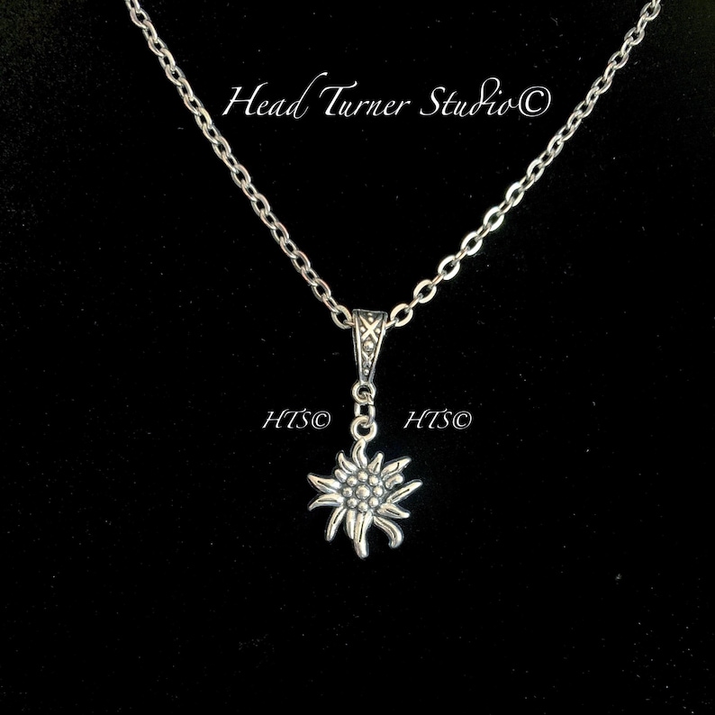 May include: A silver chain necklace with a silver edelweiss flower pendant. The pendant is detailed with small, raised dots.