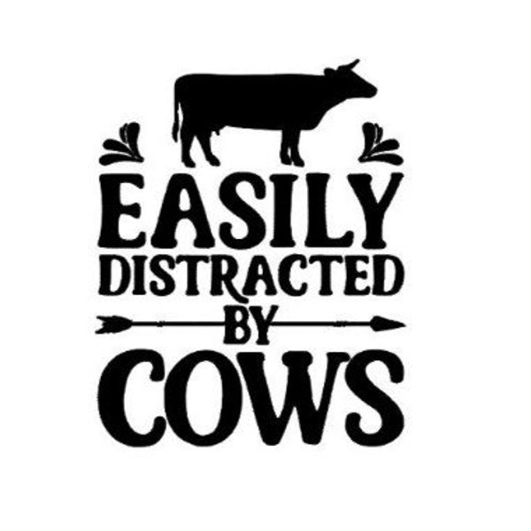 Easily distracted by cows