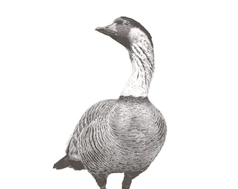 Nene, oie hawaïenne, giclée d'art mural d'art d'oiseau, 11 x 14 po. et 18 x 24 po.