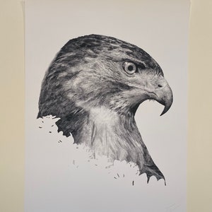 I’o Hawaiian Hawk, 18x24”, Hawaii Decor, Wall Art