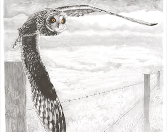 Hibou hawaïen de Pueo, impression jet d'encre d'art mural, 11 x 14 po. ou 18 x 24 po.