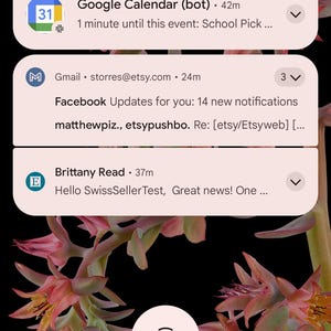 May include: A smartphone screen displaying a notification from Google Calendar for a school pick up event. The time is 2:56 and the date is Monday, January 6th. The temperature is 65 degrees Fahrenheit. There are also notifications from Gmail, Facebook, and a message from Brittany Read.