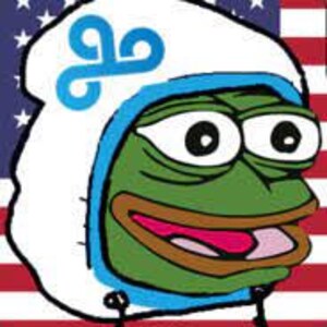 May include: A cartoon image of a green frog wearing a white hoodie with a blue trim and logo. The frog has large eyes and an open mouth. The background features the American flag.