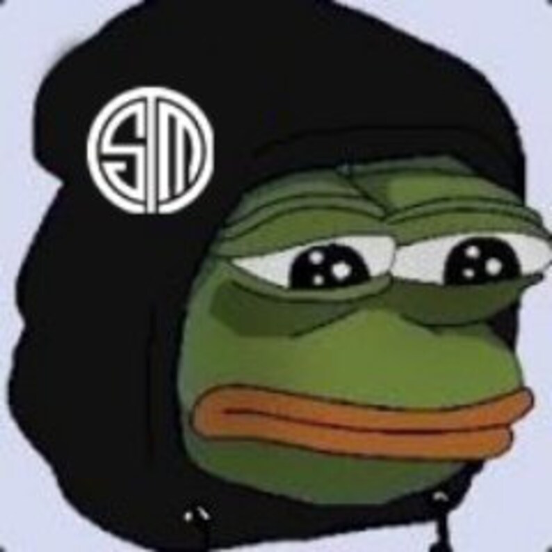 May include: A digital illustration of a green frog-like character wearing a black hoodie. The hoodie features a white circular emblem with the letters "SM" inside. The character has large, expressive eyes and a sad expression.