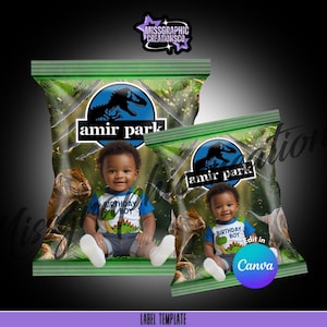 Birthday Chip Bag Template | Birthday Party Favor | Custom Jurassic Park Chip Bag | Editable Party Favor Template |