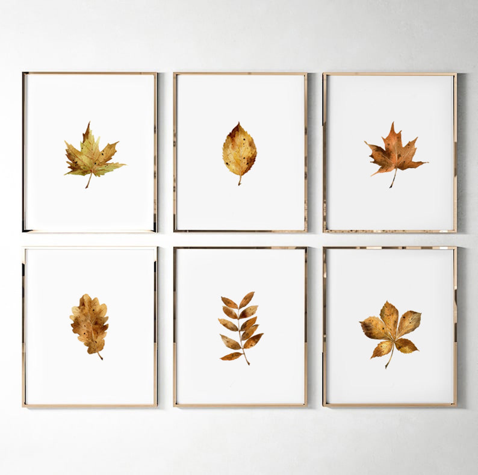 Fall Leaves Printable/watercolor Fall Leaf/fall Wall Art Set of 6 ...