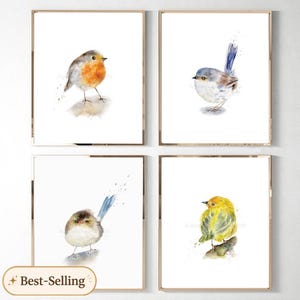 May include: Four framed watercolor prints of birds. Each print features a different bird in a soft, painterly style, with a white background. The birds are in shades of orange, blue, and yellow. The bottom left corner of the image has a "Best-Selling" sticker.
