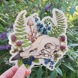 Raven skull sticker, laptop sticker, water bottle sticker