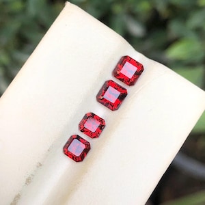 May include: Four square-cut, deep red gemstones with a vibrant, reflective quality. The gems are arranged diagonally on a white surface, showcasing their rich color and facets. The background is blurred, suggesting a natural setting.