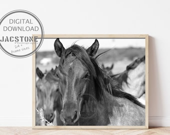Impresión de caballo en blanco y negro imprimible, fotografía de caballo, arte de pared con impresión de caballo, foto de caballo salvaje, manada, prin de caballo Grulla, descarga digital