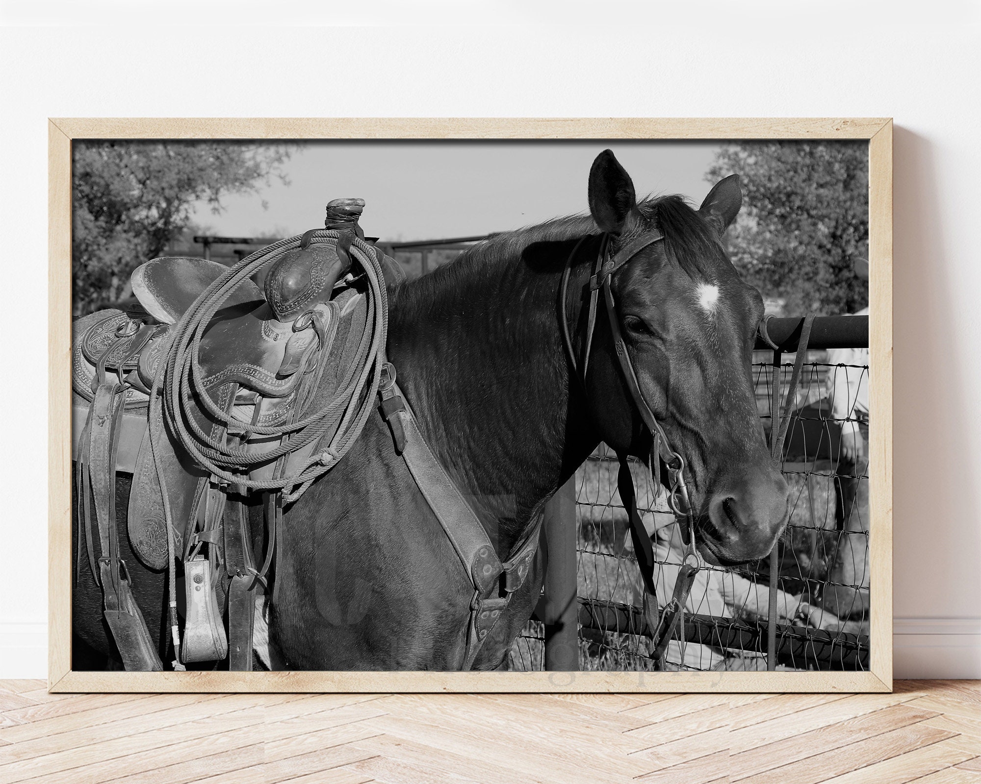 Horse Print Black and White Horse Photography, Horse Print Wall Art ...