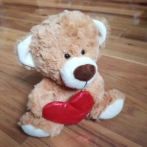 Orsacchiotto con coccole Fabbrica di carte Orso bruno con cuore Peluche di San Valentino farcito Raro